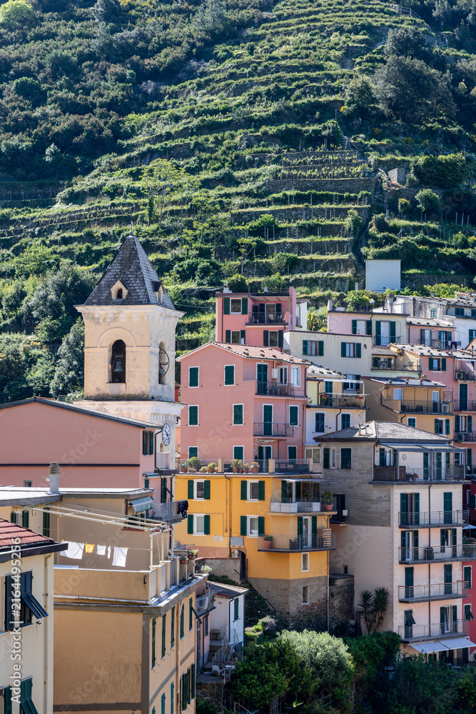 Fototapeta premium San Lorenzo church in Manarola, Liguria, Italy shows church tower beneath layered vineyard terraces from telephoto village perspective.
