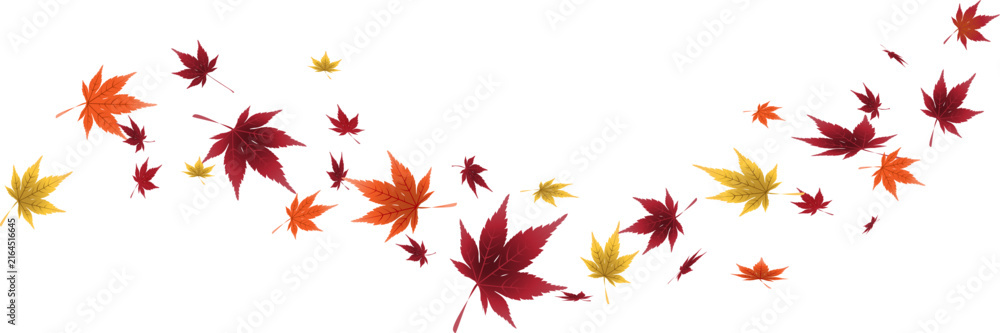 Obraz premium Autumn leaf border.Wave of falling leaves.Leaf fall.Autumn flying leaves.Watercolor leaves in the wind.Autumn leaves seamless border. 