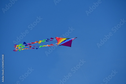 Kite flying in the sky