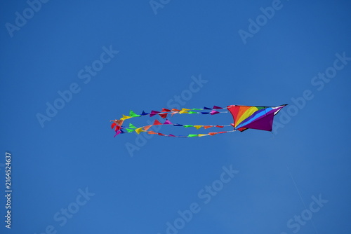 Kite flying in the sky