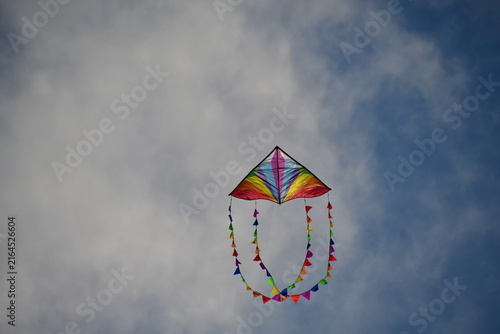 Kite flying in the sky