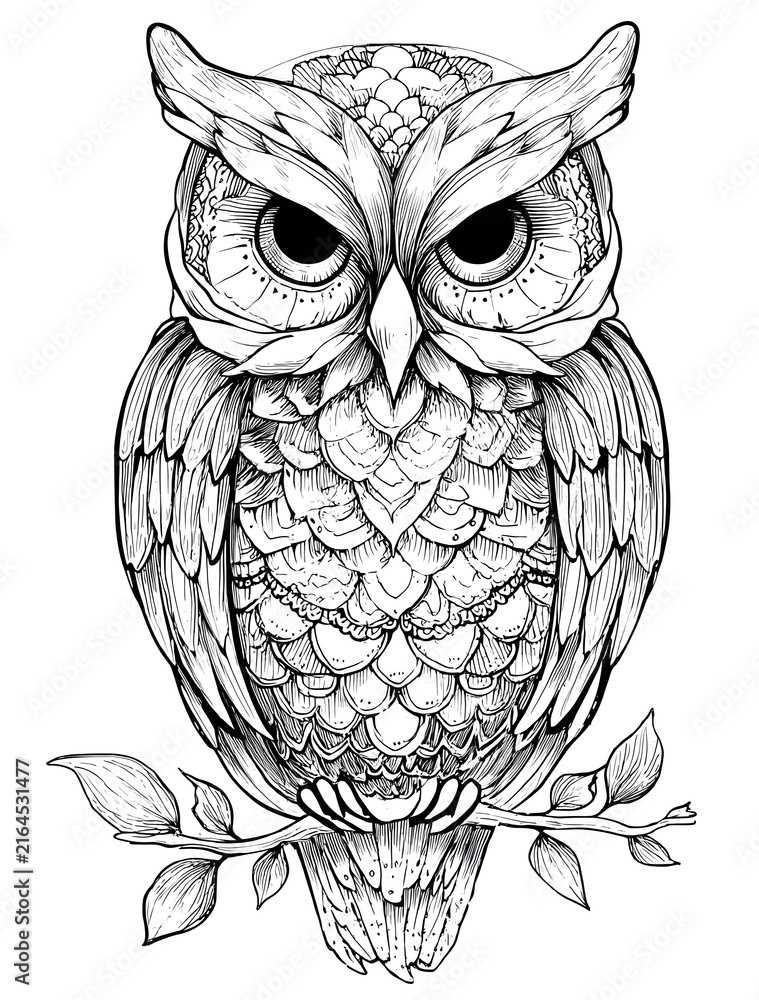 Fototapeta premium Owl On A Branch Coloring Page. Mandala animal art drawing