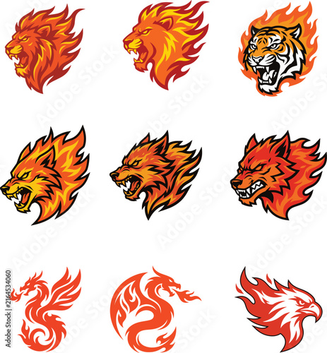 Vector set of fire flames and roaring tiger illustration, isolated design elements for branding, logos, posters and digital graphic projects