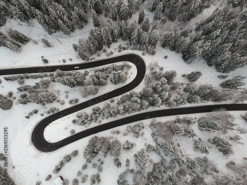 View from above of the fores full of snow in winter time. Carpathian Mountains, Romania