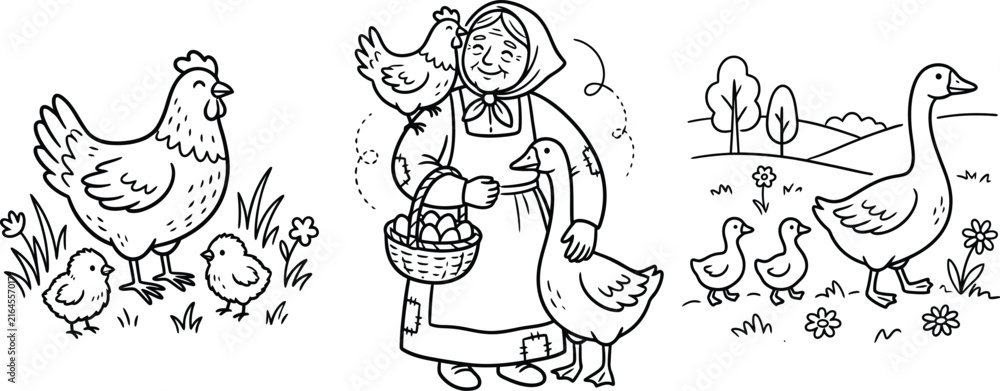 Obraz premium Hand drawn farm coloring page, grandmother with poultry and eggs, rural life line art vector, hen and goose illustration