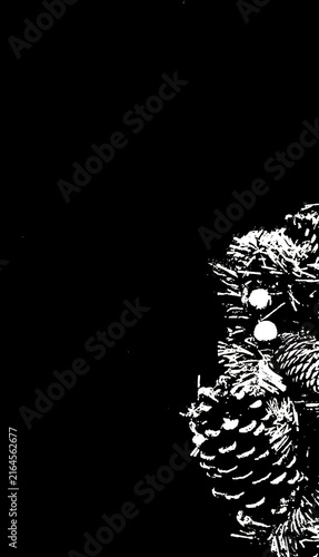  black background, glowing, night, pine cone.