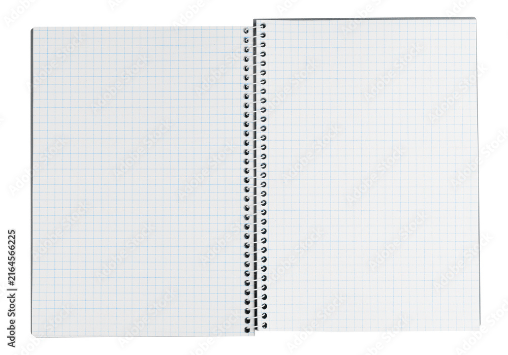 Fototapeta premium Open empty graph journal spread background symbolizing project management, precise calculations, tracking or office routine. Blank checkered notes representing structure and workflow layout