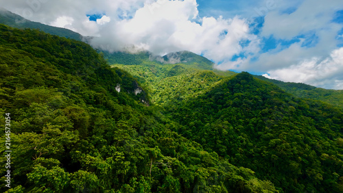 Tropical forest covers mountain slopes and valley. Rocky cliffs and cloud-covered peaks beneath blue sky. Lush rainforest, dramatic mountain scenery and misty peaks create a wilderness landscape.