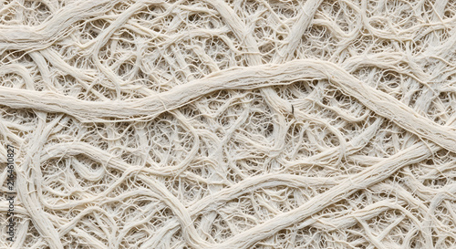Natural Cotton Fiber Texture with Tangled Threads
