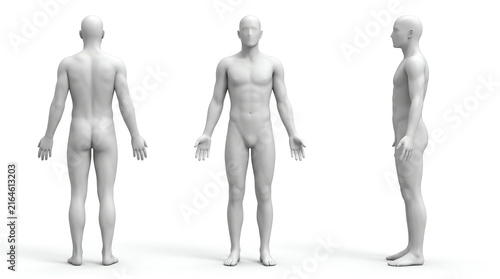 Human body 3d rendering of a human body isolated in white background