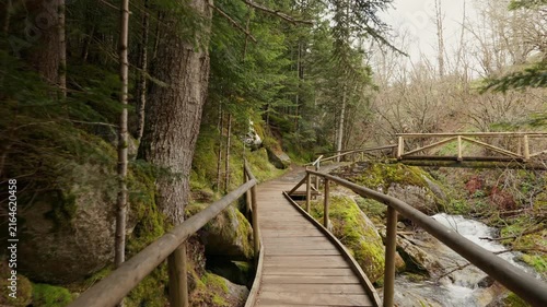 Hiking on wooden bridge in Sant Maurici National Park, Spanish Pyrenees.