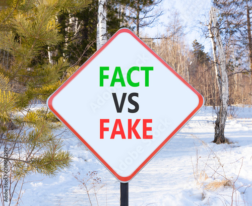 Canvastavla Fact vs versus fake words symbol