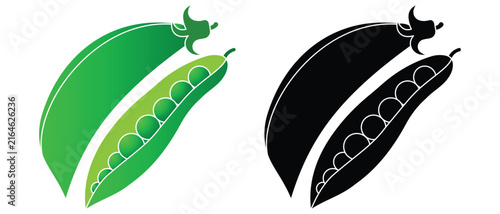 Green peas flat vector illustration. Closed pods, open shells, loose peas, leaves. Vegetable vector illustration.