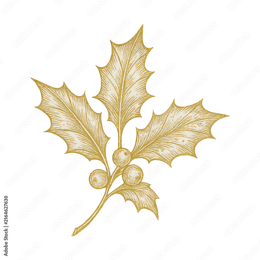 Fototapeta premium PNG Elegant golden holly illustration