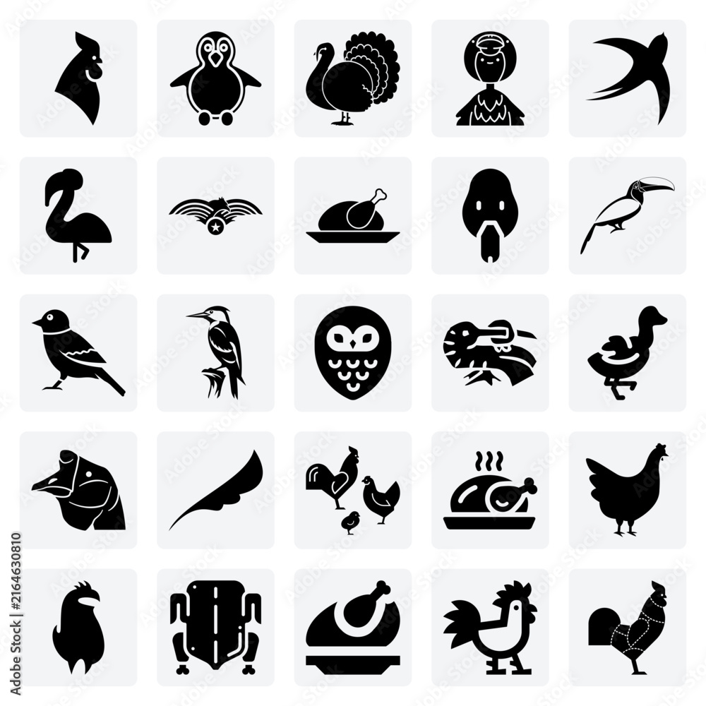 Obraz premium Birds Of The World From Various Habitats – Forest Woodpeckers, Waterfowl, And Tropical Toucans For Environmental And Zoological Graphics.