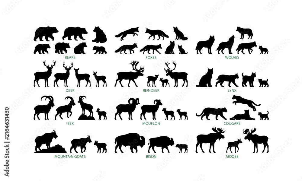 Fototapeta premium Collection of wild animal silhouettes including bears foxes wolves deer reindeer lynx ibex mouflon cougars mountain goats bison and moose