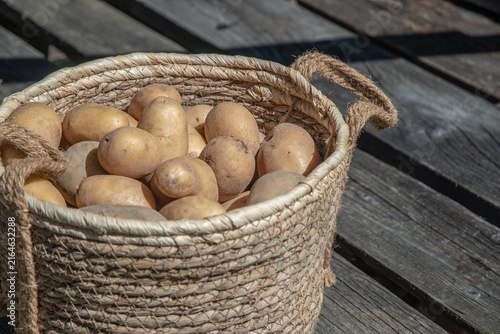 Rustic woven basket filled with fresh potatoes resting on weathered wooden boards in sunlight.