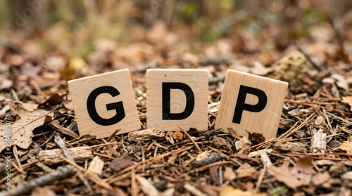 Gdp letters on wooden blocks in a forest with dry leaves