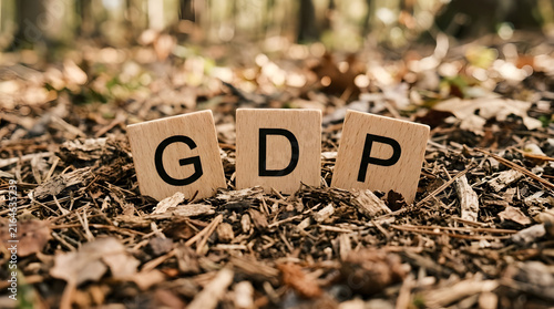 Gdp letters on wooden blocks in a forest with autumn leaves