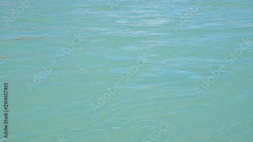 Cinematic Water Movement Background: An Organic, Flowing Texture of Pristine Mountain Stream Water with Subtle Ripples and Current