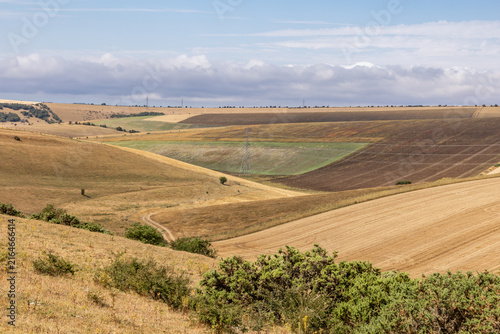 Dry farmland in the South Downs, during a heat wave and dry summer