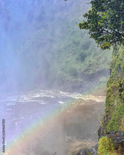 Rainbow in the Mist