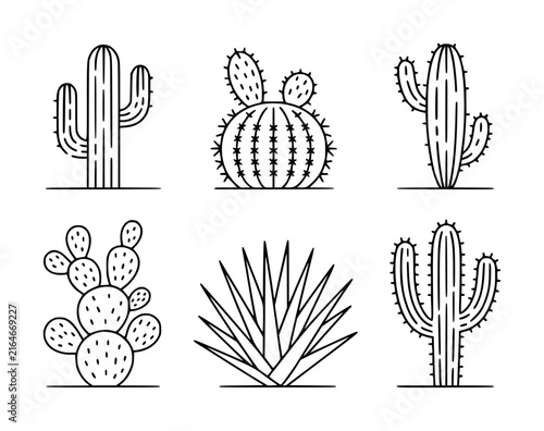 Set of six different cactus and succulent plant in a simple black and white line style