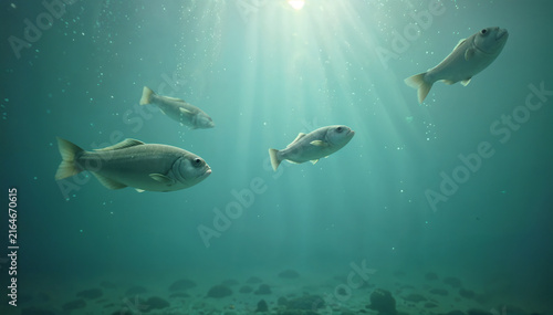 Sunbeams pierce the clear teal water as a small school of fish swims gracefully above a rocky ocean floor in this tranquil underwater scene.