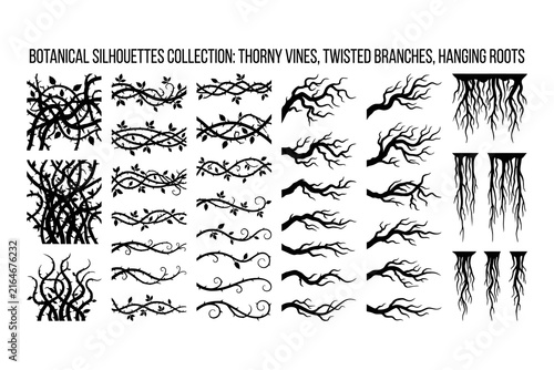 Fotografía Thorn Vines, Twisted Branches, Hanging Roots Botanical Silhouettes Collection Fe