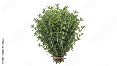 A fresh bunch of green thyme herb tied with a simple string, isolated on a white background, showing detailed leaves and thin woody stems