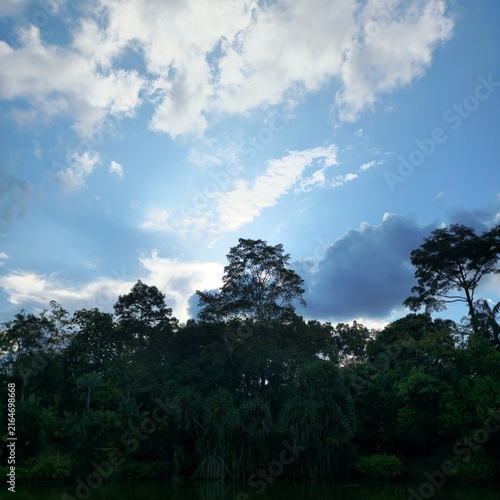 Photography clouds and trees