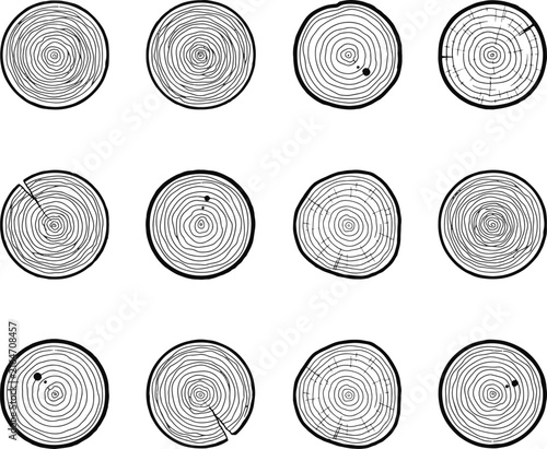 Wood grain cross sections for natural textured backgrounds and decor.