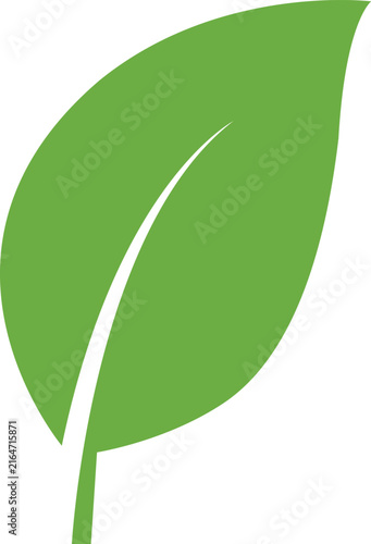 Green Leaf Vector Icon Isolated on White Background for Eco Friendly Design
