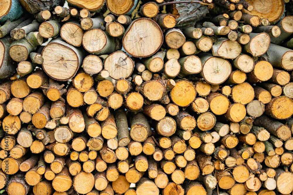 Fototapeta premium Stack of freshly cut logs showing natural wood grain and growth rings. Rustic firewood background with rough bark and varied timber textures.