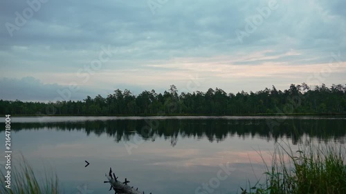 A beautiful sunrise on the lake shore. The clouds slowly drift over the lake and the forest as the sun rises.