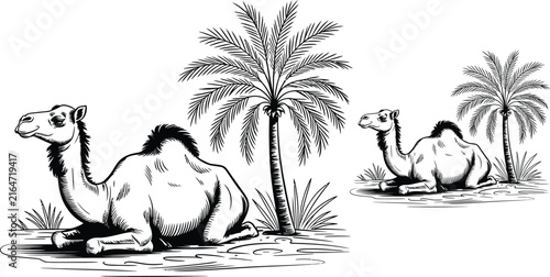 Vintage camel set with palm trees. Desert animal illustration and tropical leaf collection. Hand-drawn exotic wildlife sketch in engraving style.