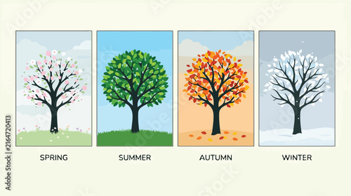Four seasons tree vector illustration depicting spring summer autumn and winter climate cycle