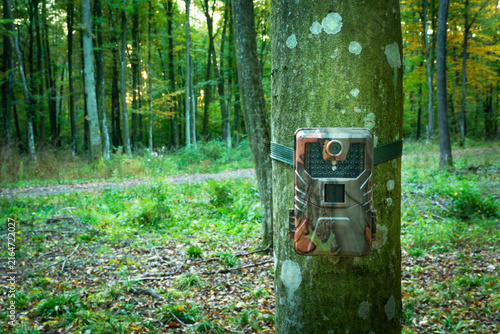 Camera trap on a tree in the forest