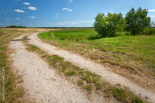 A dirt road and a green meadow with bushes