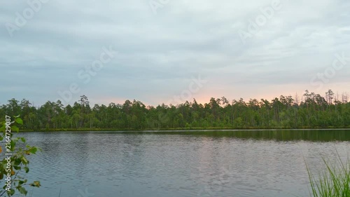 A beautiful sunrise on the lake shore. The clouds slowly drift over the lake and the forest as the sun rises.
