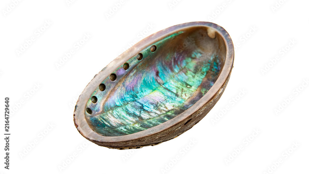 Fototapeta premium Iridescent inner surface of an abalone shell isolated on transparent background