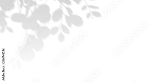 Canvas Print Hanging branch shadow overlay, big leafy frond on transparent png background