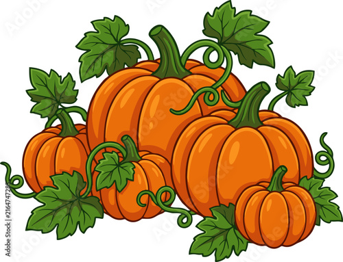 Group of Orange Pumpkins with Green Leaves Vector Illustration for Fall Season Design