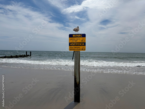 Warning Signs Stand on a Beach With a Gull Perched on Top