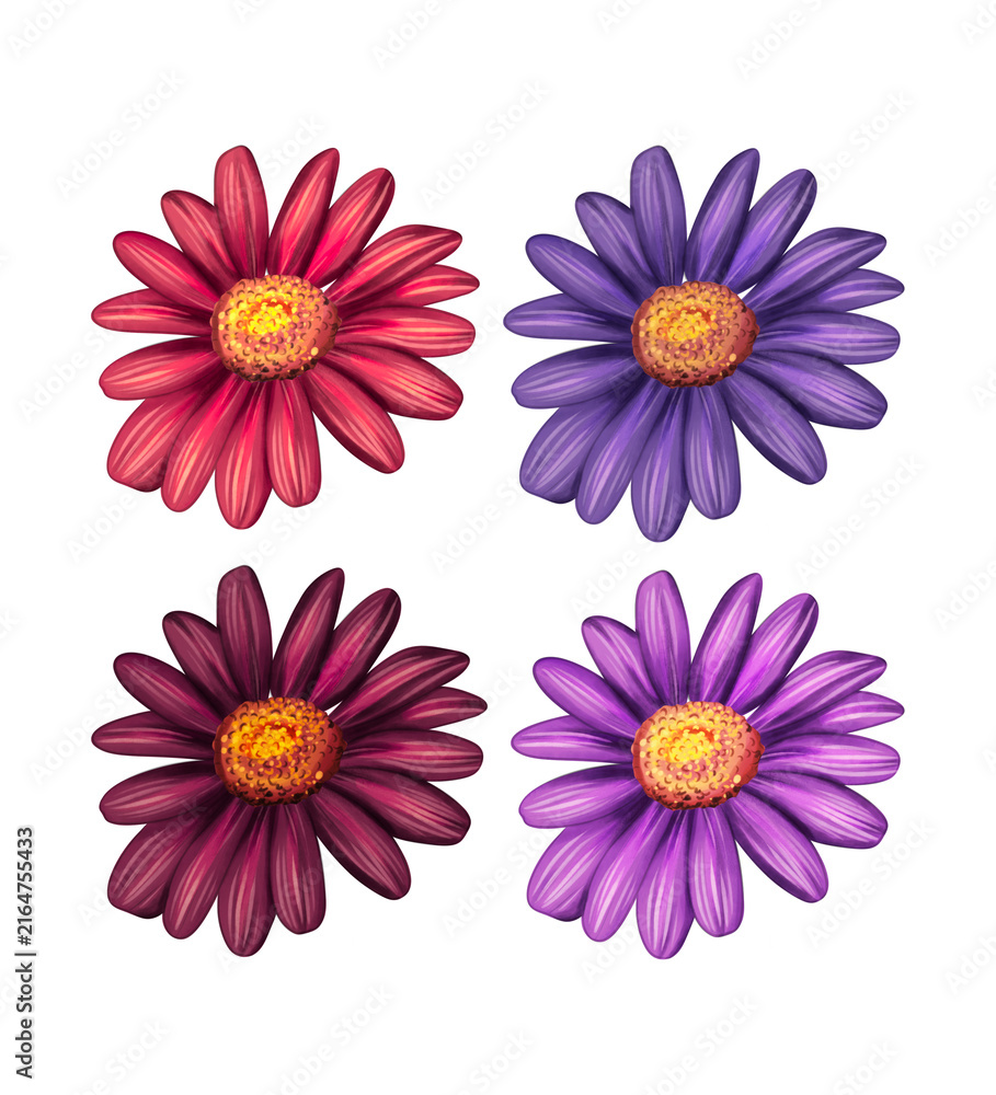 Fototapeta premium Chamomile Flower Bloom Floral Botanical Icon Set Vector Illustration