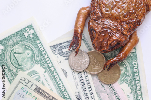 Fotografía Money toad resting on US dollars and coins