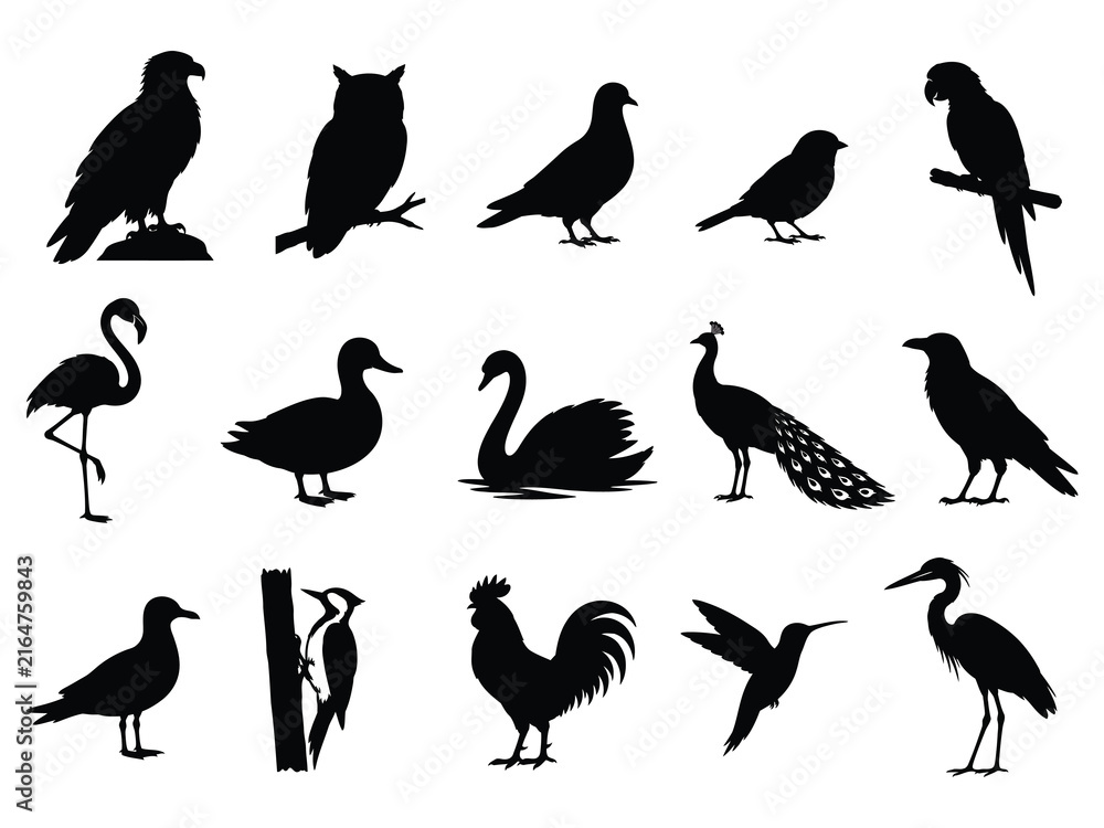 Fototapeta premium Collection Of Bird Silhouettes On A White Background