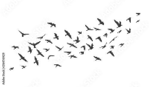 Flock of birds flying, halftone style