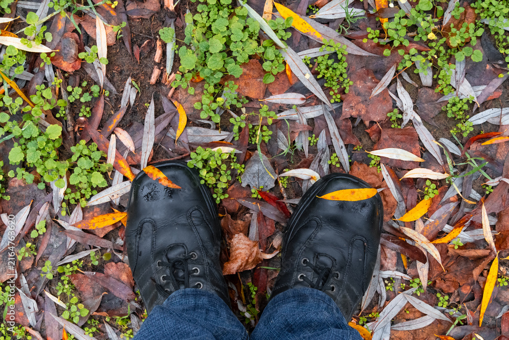 Fototapeta premium First person view of black leather shoes walking through autumn forest ground with fallen leaves and mist