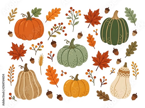 Colorful autumn pumpkins gourds leaves acorns and berries illustration isolated transparent background